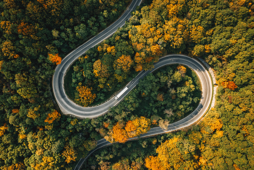 Un camión eléctrico circula por una carretera sinuosa entre árboles caídos